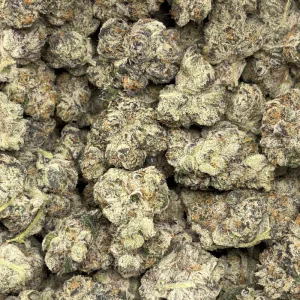 WEDDING CAKE (QUAD EXOTICS) - Image 3