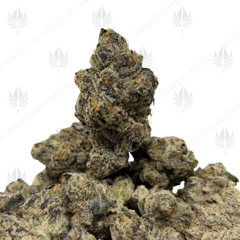WEDDING CAKE (QUAD EXOTICS)