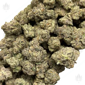 MALIBU PIE (QUAD EXOTICS) - Image 2