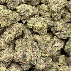 MALIBU PIE (QUAD EXOTICS) - Image 3