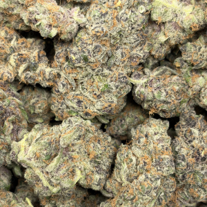 ALASKAN THUNDER FUCK (QUAD EXOTICS) - Image 3