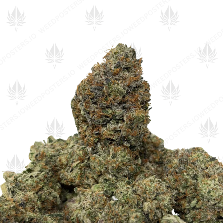 PINK PRE-98 BUBBA (LSO GAS)
