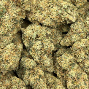 THAI FANTASY (SATIVA) - Image 3