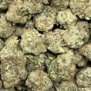 WIZARD X ICE CREAM CAKE (LSO EXOTICS) - Image 3