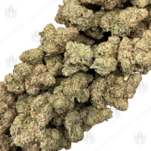 WIZARD X MAC DADDY (LSO EXOTICS) - Image 2