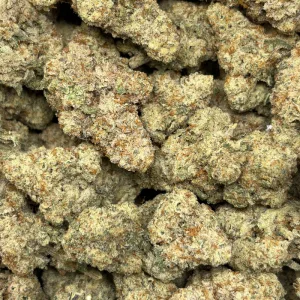 WIZARD X MAC DADDY (LSO EXOTICS) - Image 3