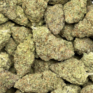 CITRUS SUNRISE (SATIVA) - Image 3