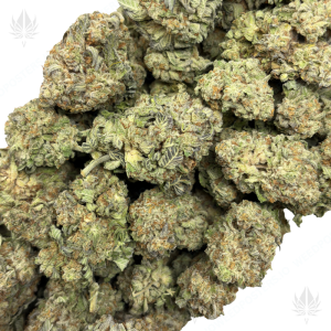 KING'S KUSH (LOWS) - Image 2