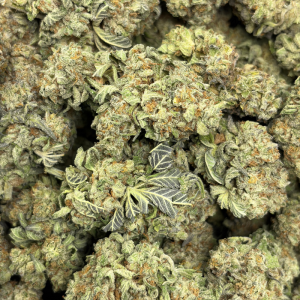 KING'S KUSH (LOWS) - Image 3