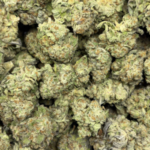GORILLA GLUE #4 (LOWS) - Image 3
