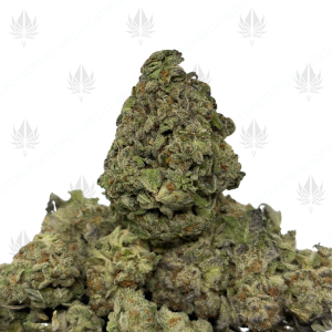 GORILLA GLUE #4 (LOWS) - Image 1