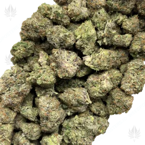 PINK PANTHER (LSO GAS) - Image 2