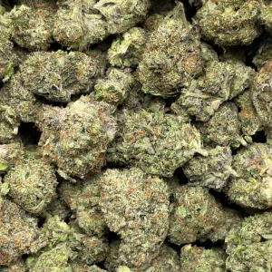PINK PANTHER (LSO GAS) - Image 3