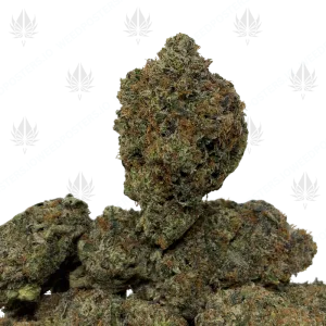PINK PANTHER (LSO GAS) - Image 1