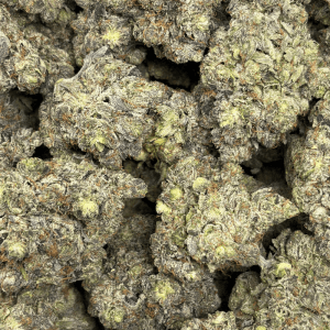 GAS BERRY (QUAD GAS) - Image 3