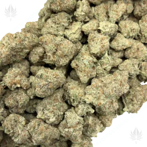 BLUEBERRY PANCAKES (TRIP EXOTICS) - Image 2