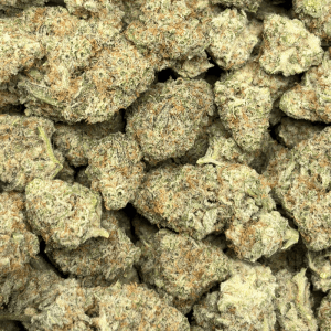 BLUEBERRY PANCAKES (TRIP EXOTICS) - Image 3