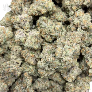 CHEETAH PISS (QUAD EXOTICS) - Image 2
