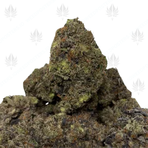 CHAPO OG (QUAD GAS) - Image 1