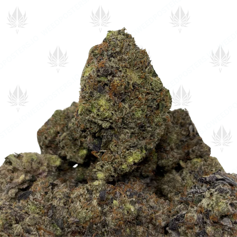 CHAPO OG (QUAD GAS)