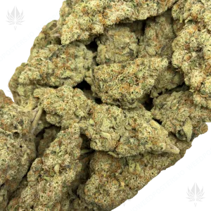 APPALACHIAN HAZE (SATIVA) - Image 2
