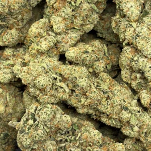 APPALACHIAN HAZE (SATIVA) - Image 3