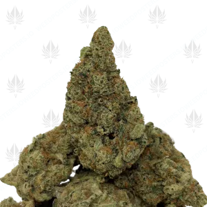 APPALACHIAN HAZE (SATIVA) - Image 1