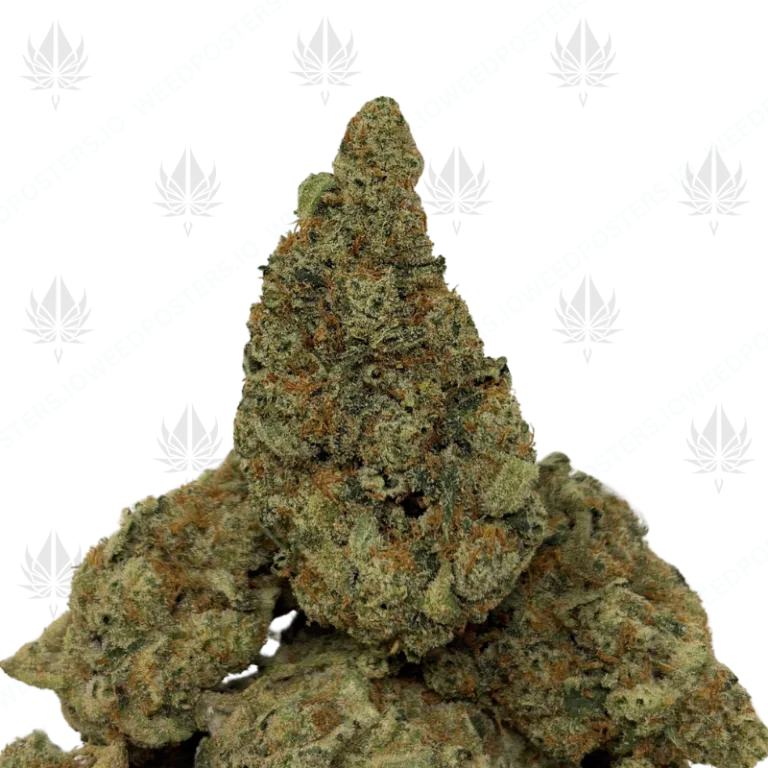 APPALACHIAN HAZE (SATIVA)