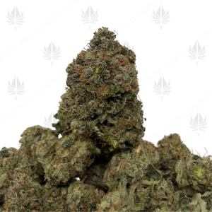 ROCKSTAR BUBBA (TRIP GAS) - Image 1