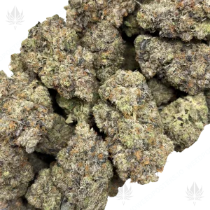 PINK PUNISHER (QUAD GAS) - Image 2
