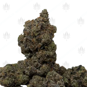PINK PUNISHER (QUAD GAS) - Image 1