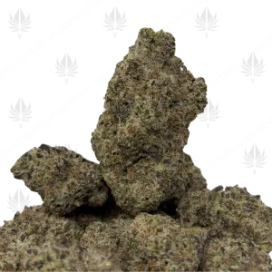 FROSTED CREAM (TRIP EXOTICS) - Image 1