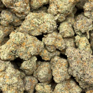 WIZARD FRITTER (QUAD EXOTICS) - Image 3