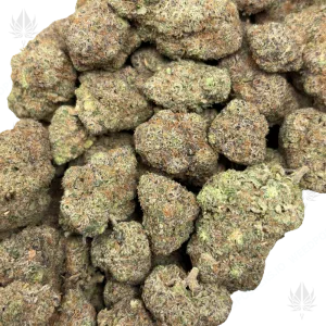 GASTRO GOOP (QUAD EXOTICS) - Image 2