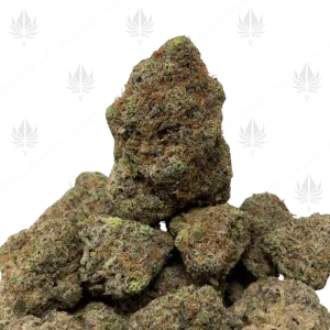 GASTRO GOOP (QUAD EXOTICS) - Image 1