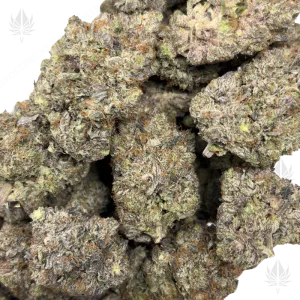 SAPPHIRE PINK (QUAD GAS) - Image 2