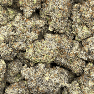 SAPPHIRE PINK (QUAD GAS) - Image 3