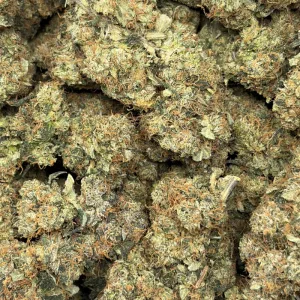 DEATH TUNA (TRIP GAS) - Image 3