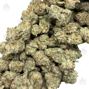 BANANA SPLIT (QUAD EXOTICS) - Image 2