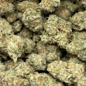 BANANA SPLIT (QUAD EXOTICS) - Image 3