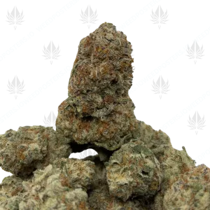 BANANA SPLIT (QUAD EXOTICS) - Image 1