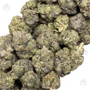 STORM TROOPER GAS (QUAD GAS) - Image 2