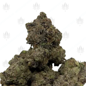STORM TROOPER GAS (QUAD GAS) - Image 1