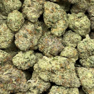 TEQUILLA SUNRISE (TRIP EXOTICS) - Image 3