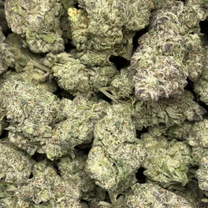 MOJITO (QUAD EXOTICS) - Image 3
