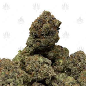 LUCIFER PINK (QUAD GAS) - Image 1