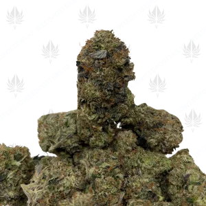 KOSHER KUSH (LSO GAS) - Image 1