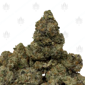 JUGGERNAUT PINK (LSO GAS) - Image 1