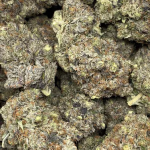 NITRO PINK (QUAD GAS) - Image 3