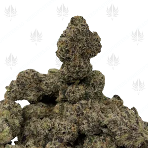 PIXIE DRIP (LSO EXOTICS) - Image 1